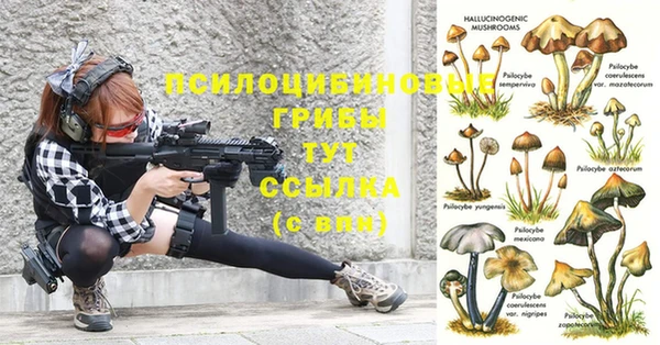 МДПВ Кукмор